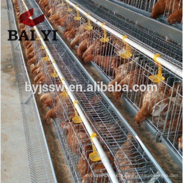 Anping Baiyi Poultry Cage Breeding Equipments For Egg Chickens